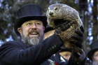 The Groundhog's Shadow and Other Gray Thoughts The Groundhog's Shadow and Other Gray Thoughts