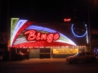 Bingo! Bingo!